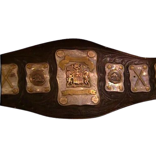 Stampede Wrestling International Tag Team Championship Belt Wakamatsu Mike Shaw