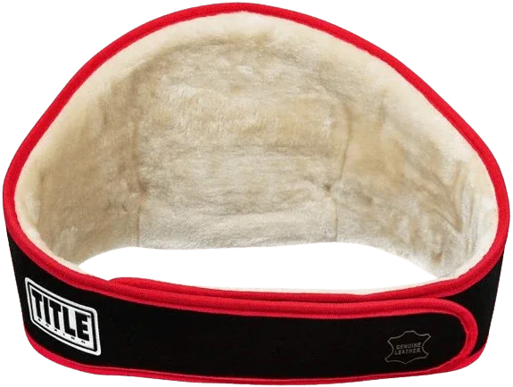 Force of One Title Boxing Championship Belt