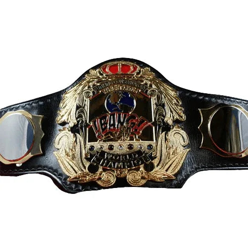 Funking Conservatory Bang Heavyweight Championship Belt - WWF Belt