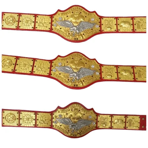 IWA Superstar World Heavyweight Wrestling Champion belt - WWF Belt