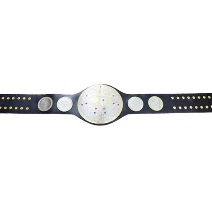 IWGP Tag Team Championship Belt - WWF Belt