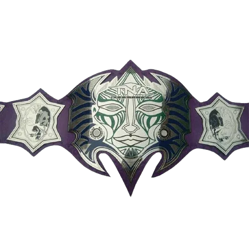 Jeff Hardy Enigmatic MMA Undisputed Championship Belt - WWF Belt