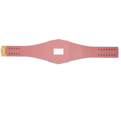 Miami Dolphins WWE Legacy Title Belt - WWF Belt