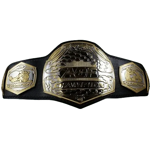 MMA Art of Champion Fighting Championship Belt - WWF Belt