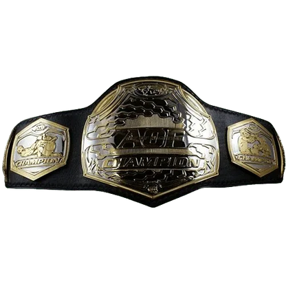 MMA Art of Champion Fighting Championship Belt - WWF Belt