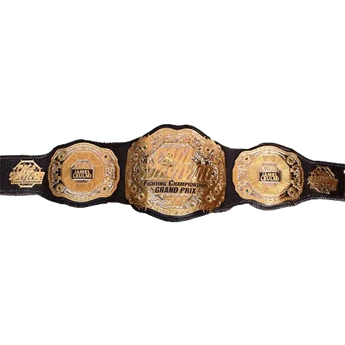 MMA Cage Survivor 2007 Championship belt - WWF Belt