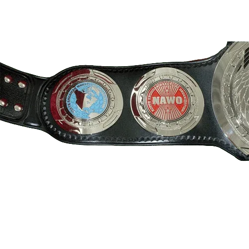 NAWO Mirror Image Tag Team Wrestling Championship Title Belts - WWF Belt