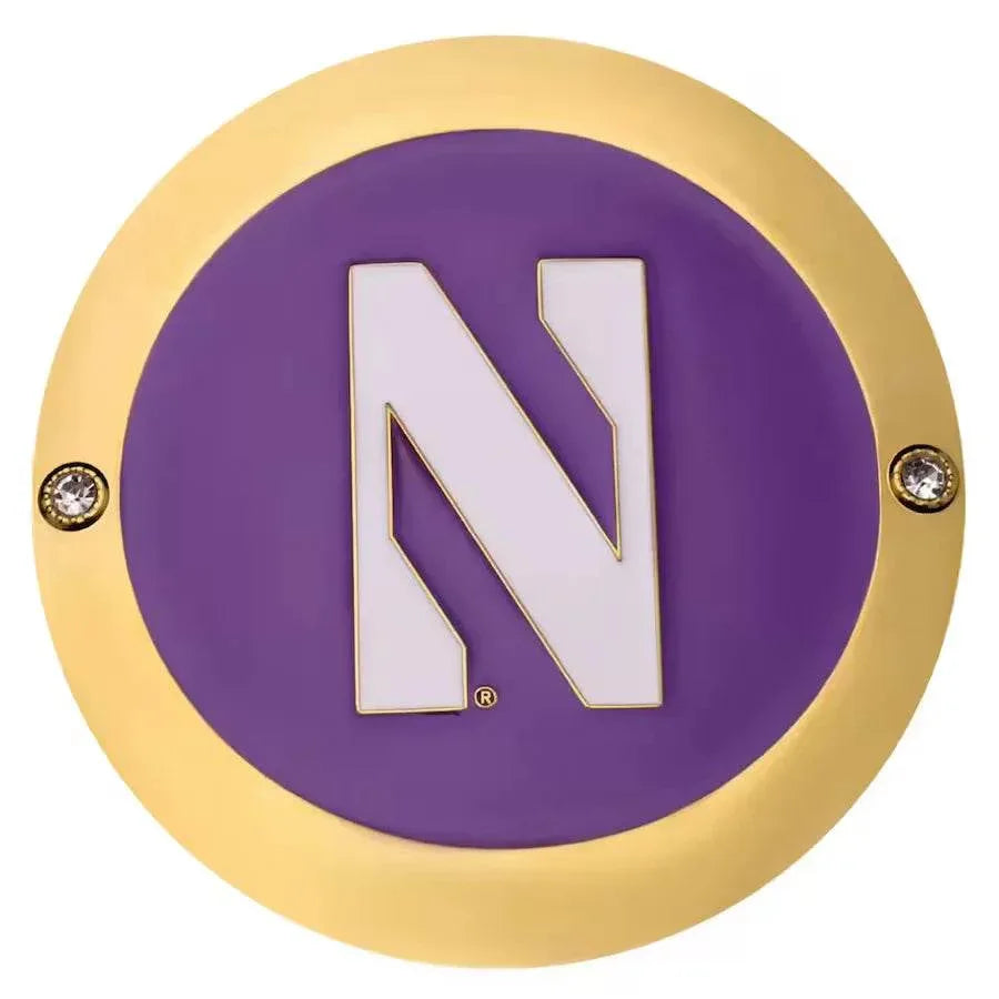 Northwestern Wildcats Championship Replica Side Plate Box Set - WWF Belt