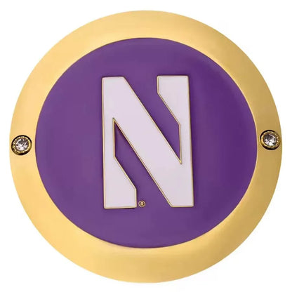 Northwestern Wildcats Championship Replica Side Plate Box Set - WWF Belt
