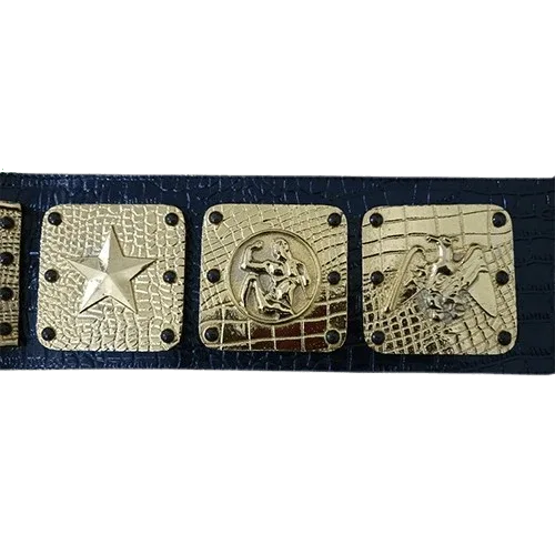 NWA Americas Heavyweight Wrestling Champion Belt - WWF Belt