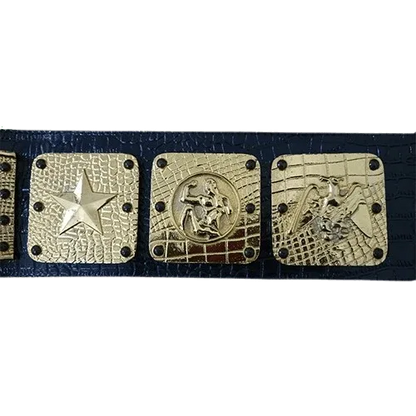 NWA Americas Heavyweight Wrestling Champion Belt - WWF Belt