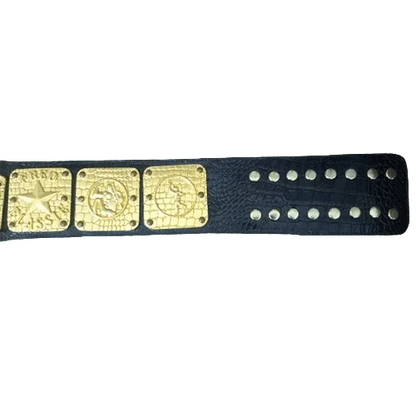 NWA Canadian Pacific Coast Classy Champion Replica Title Belt - WWF Belt