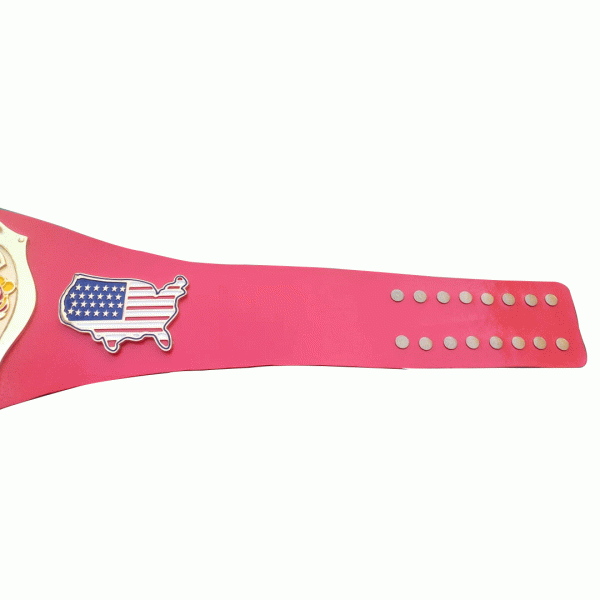 NWA Continental USA Heavyweight Wrestling Champion Belt - WWF Belt