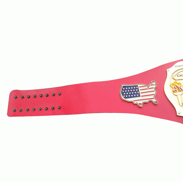 NWA Continental USA Heavyweight Wrestling Champion Belt - WWF Belt