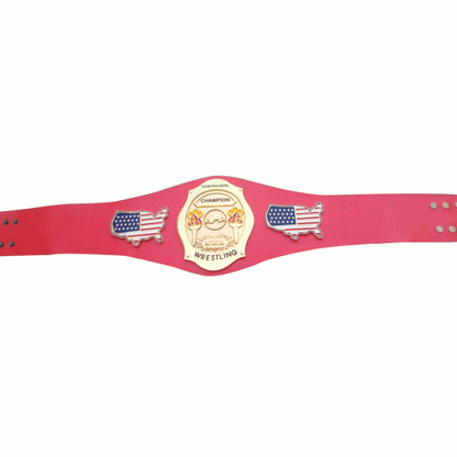 NWA Continental USA Heavyweight Wrestling Champion Belt - WWF Belt