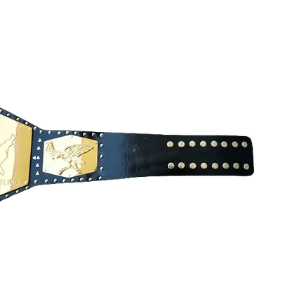 NWA Detroit United States Heavyweight Championship belt