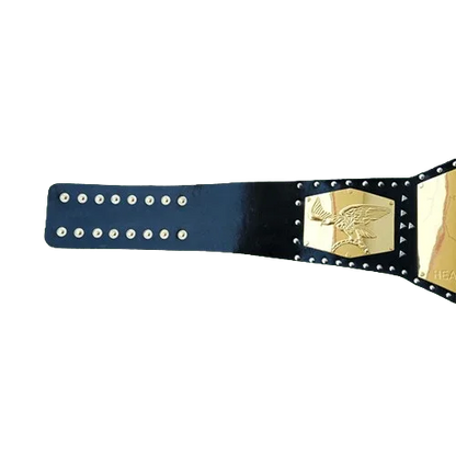 NWA Detroit United States Heavyweight Championship belt