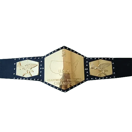 NWA Detroit United States Heavyweight Championship belt