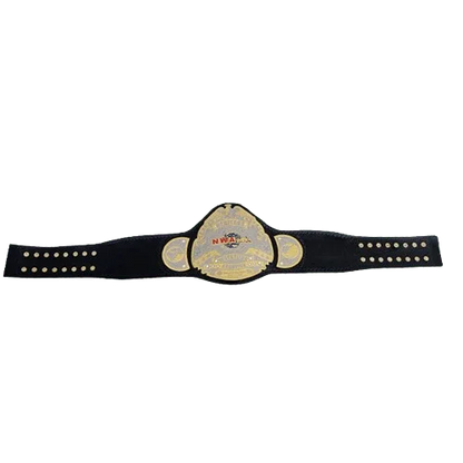 NWA Heritage title Wrestling Champion Belt Sean Waltman X-Pac TJP - WWF Belt