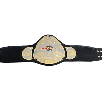 NWA Heritage title Wrestling Champion Belt Sean Waltman X-Pac TJP - WWF Belt