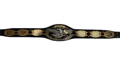 NWA International Wrestling Tag Team Championship Belt - WWF Belt