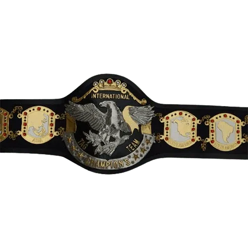 NWA International Wrestling Tag Team Championship Belt - WWF Belt