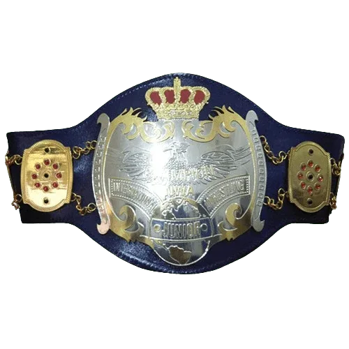 NWA Junior Heavyweight Replica Championship Belt - WWF Belt