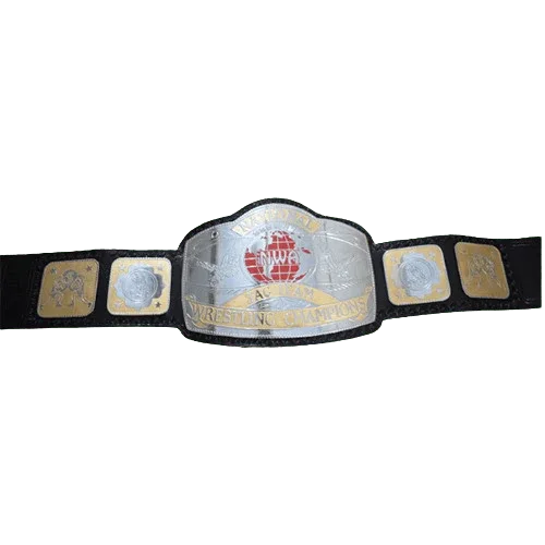 NWA National Tag Team Championship Title Replica Belt - WWF Belt