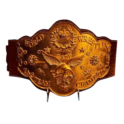 NWA National Wrestling Alliance World Women’s Tag Team Championship Belt - WWF Belt