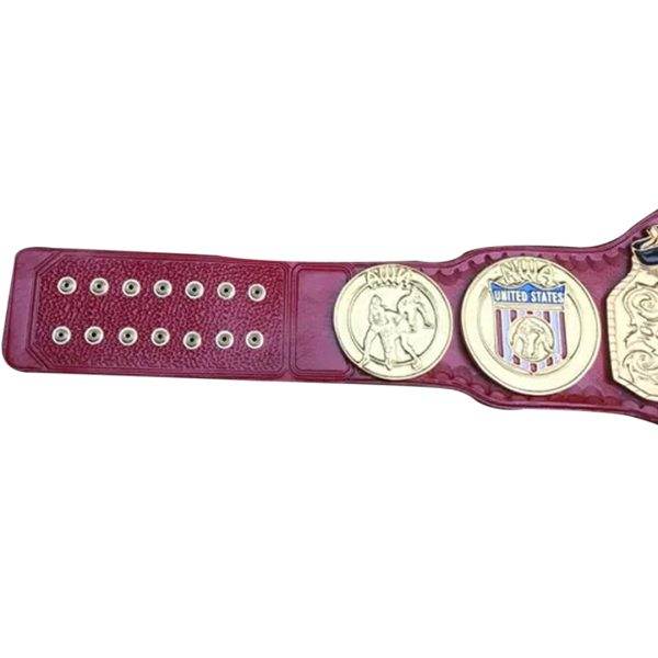 NWA USA Tag Team Wrestling Championship Belt - WWF Belt