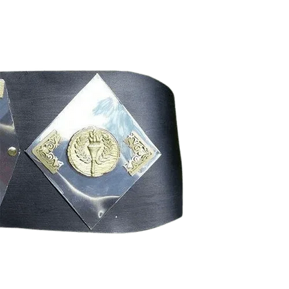 NWA World Tag Team Championship Belt Detroit version Blackjacks - WWF Belt