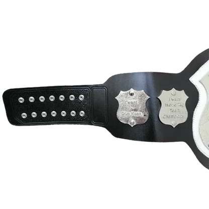 NWA World Tag Team Championship Belt - WWF Belt