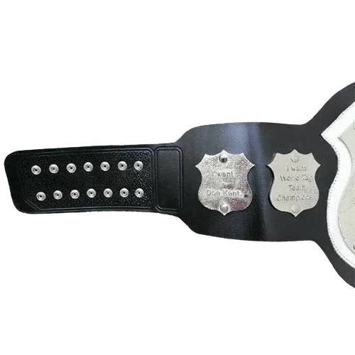 NWA World Tag Team Championship Belt - WWF Belt