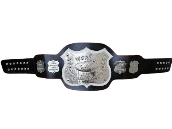 NWA World Tag Team Championship Replica Title Belt - WWF Belt