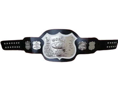 NWA World Tag Team Championship Replica Title Belt - WWF Belt