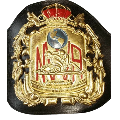 NWA Wrestling Champion Belt Gene Kiniski Dory Funk Jr. Old World - WWF Belt