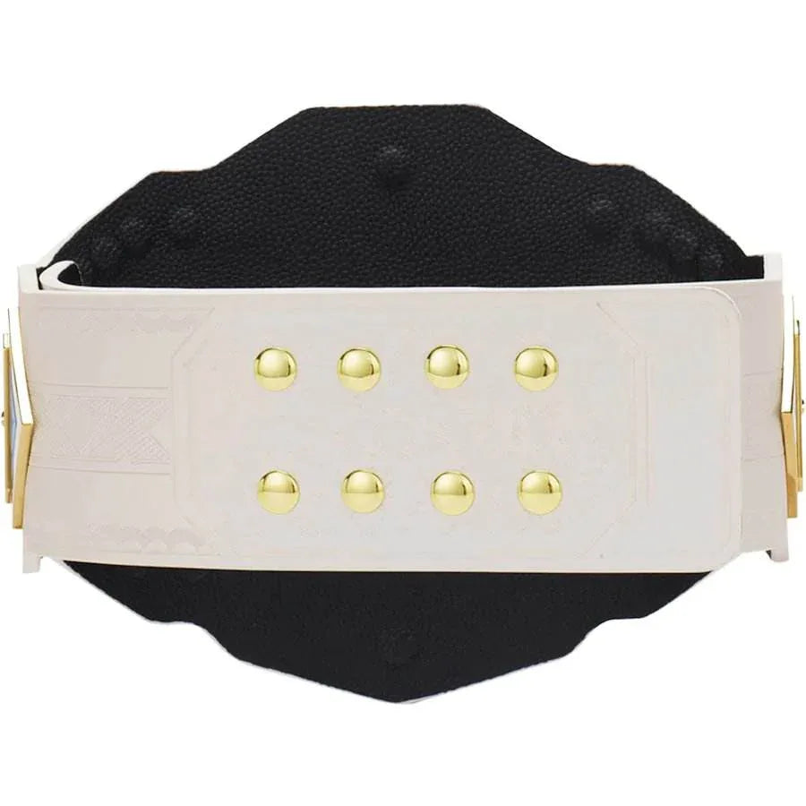 NXT 2.0 Women's Championship Replica Title Belt - WWF Belt