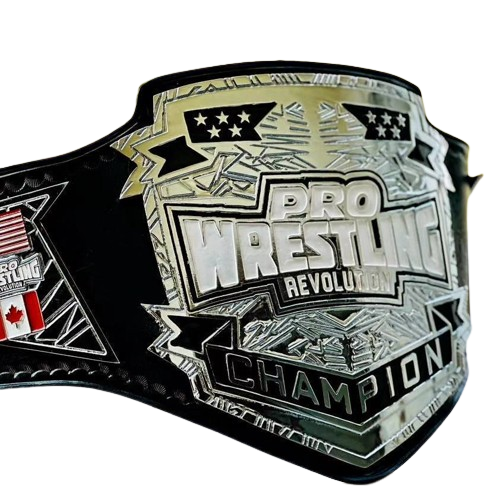 Pro Wrestling Championship Replica Title Belt