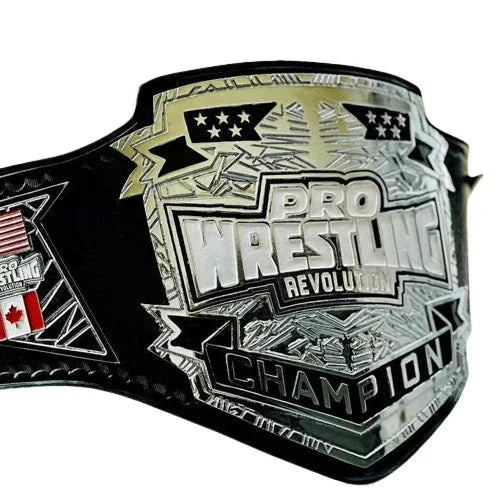Pro Wrestling Championship Replica Title Belt - WWF Belt