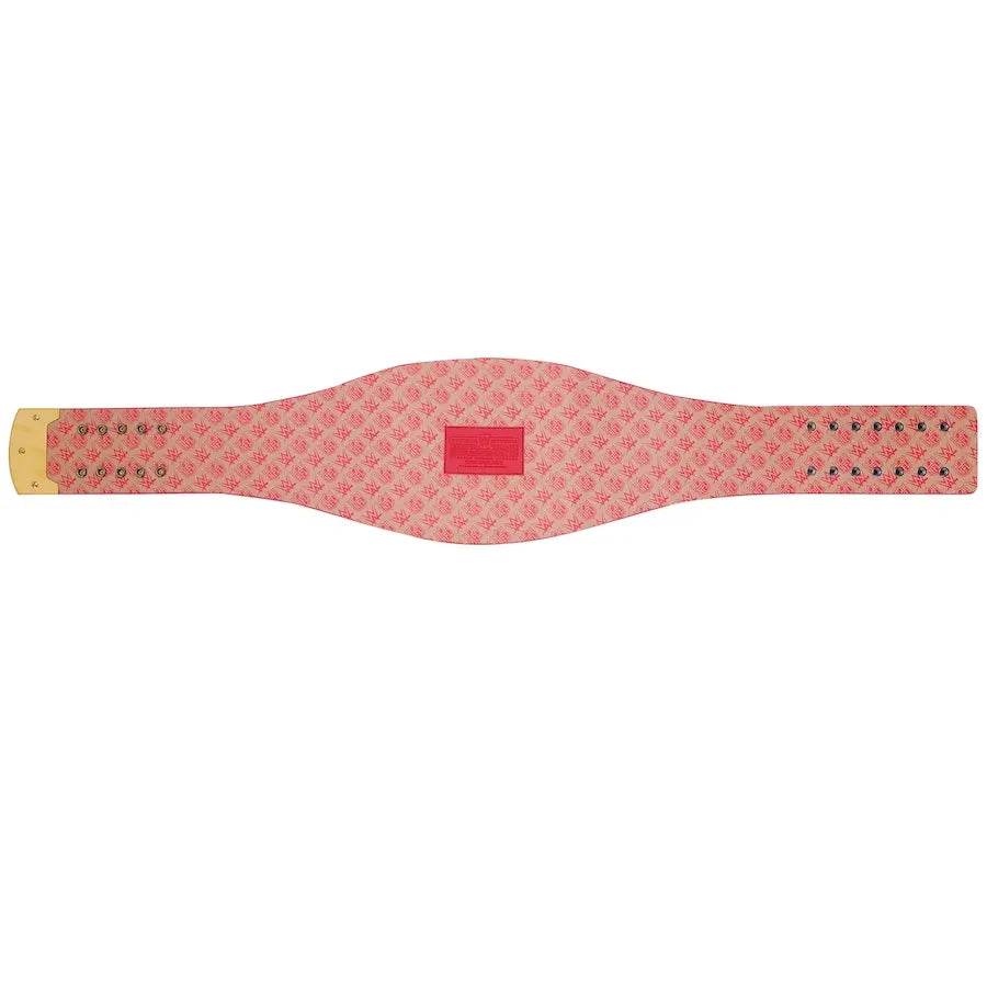 San Francisco 49ers WWE Legacy Title Belt - WWF Belt