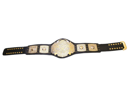 TNA World Heavyweight Wrestling Championship Belt