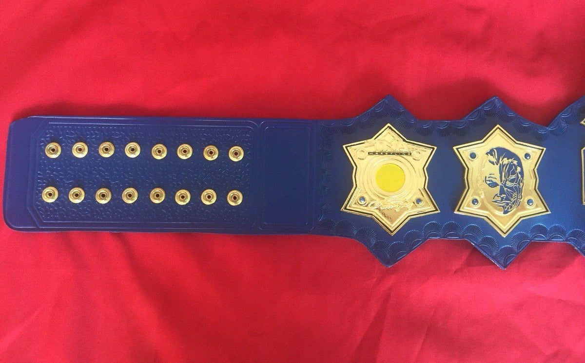 TNA Jeff Hardy Wrestling Championship Replica Title Belt - WWF Belt