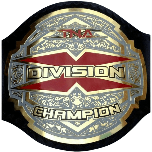 TNA X Division Championship Replica Title BeltChampionship BeltWWF Belt