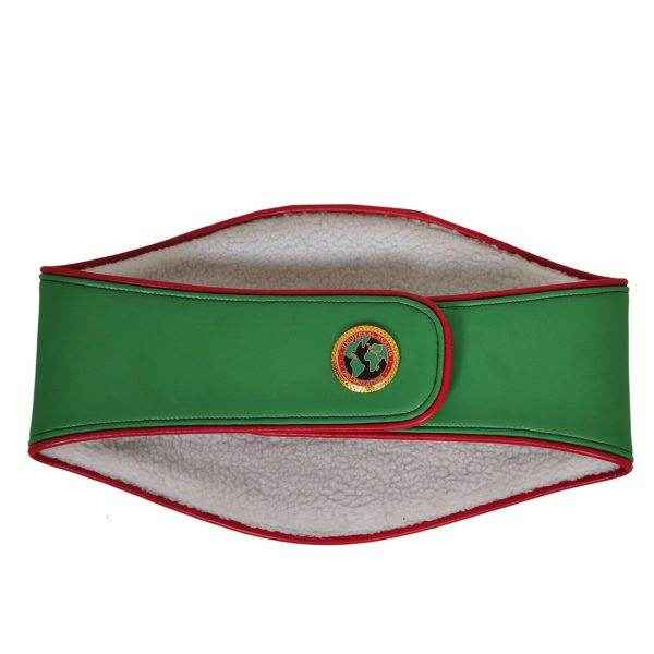 UBO Title Boxing Championship Belt