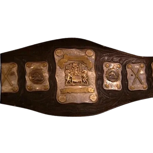 Wakamatsu Mike Shaw Stampede Wrestling International Tag Team Belt - WWF Belt