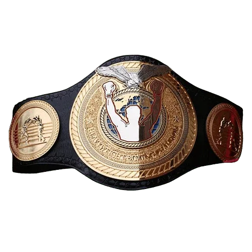 WC Heavyweight Boxing Title Championship belt