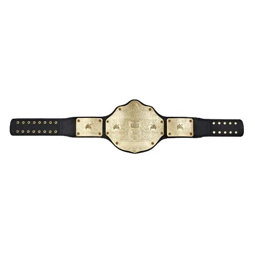 WWE Big Gold World Heavyweight Commemorative Championship Belt - WWF Belt