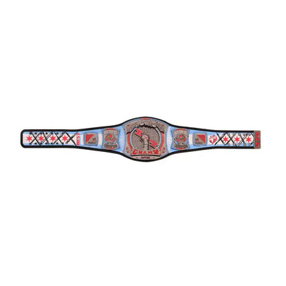 WWE CM Punk 434-Day Record Signature Series Championship Belt - WWF Belt