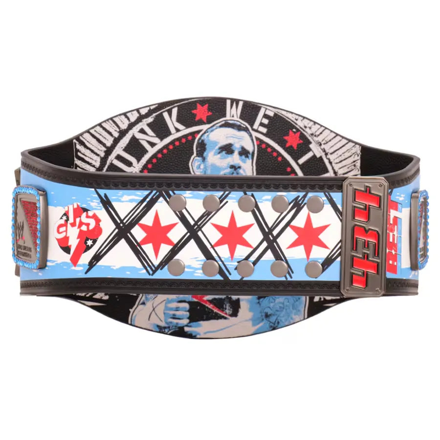 wwe-cm-punk-434-day-record-signature-series-championship-title-belt (6)