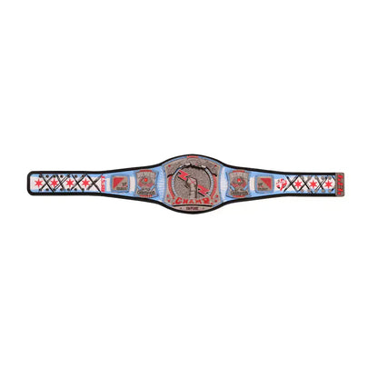 wwe-cm-punk-434-day-record-signature-series-championship-title-belt (6)